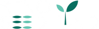 Reno Seed Fund