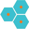 HepaTx