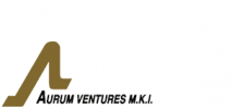 Aurum Ventures