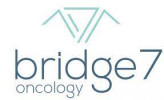 bridge7
