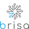 Brisa Robotica