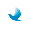 Cloud Angel Fund