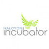 Halcyon Incubator