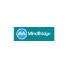 MindBridge AI