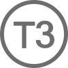 T3