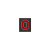 The Ohio State University