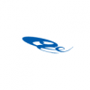 Wangsu Science & Technology